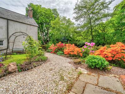 Picture 29